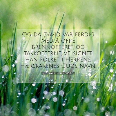 Picture 07 - 2 Samuel 6:18 NORSK - Og da David var ferdig med å ofre brennofferet - Bible Verse Picture