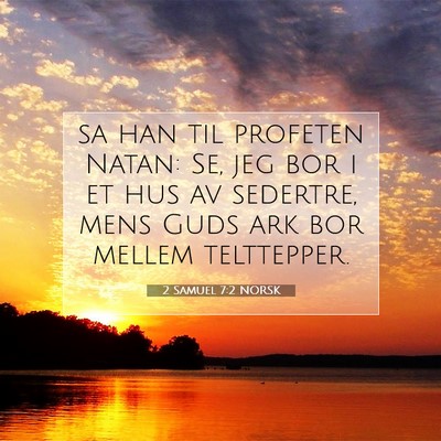 Picture 07 - 2 Samuel 7:2 NORSK - sa han til profeten Natan: Se, jeg bor i et hus - Bible Verse Picture