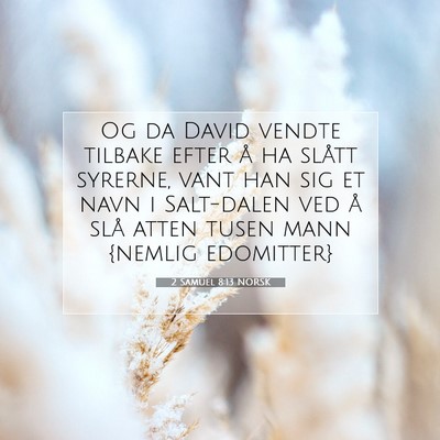 Picture 07 - 2 Samuel 8:13 NORSK - Og da David vendte tilbake efter å ha slått - Bible Verse Picture