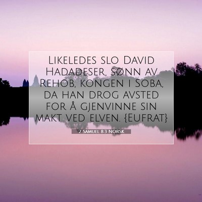 Picture 07 - 2 Samuel 8:3 NORSK - Likeledes slo David Hadadeser, sønn av Rehob, - Bible Verse Picture
