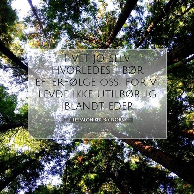 Picture 07 - 2 Tessaloniker 3:7 NORSK - I vet jo selv hvorledes I bør efterfølge oss; - Bible Verse Picture