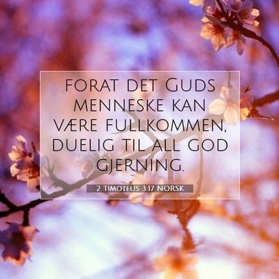 Picture 07 - 2 Timoteus 3:17 NORSK - forat det Guds menneske kan være fullkommen, - Bible Verse Picture