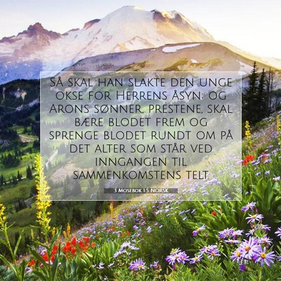 Picture 07 - 3 Mosebok 1:5 NORSK - Så skal han slakte den unge okse for Herrens - Bible Verse Picture