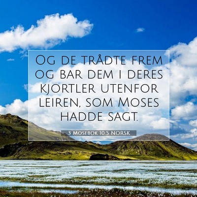 Picture 07 - 3 Mosebok 10:5 NORSK - Og de trådte frem og bar dem i deres kjortler - Bible Verse Picture