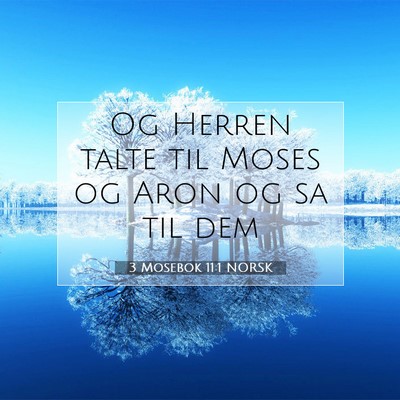 Picture 07 - 3 Mosebok 11:1 NORSK - Og Herren talte til Moses og Aron og sa til - Bible Verse Picture