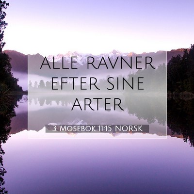 Picture 07 - 3 Mosebok 11:15 NORSK - alle ravner efter sine - Bible Verse Picture