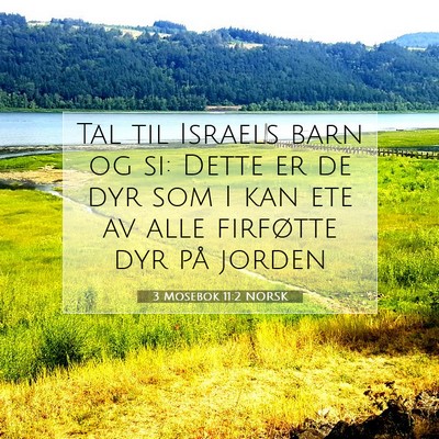 Picture 07 - 3 Mosebok 11:2 NORSK - Tal til Israels barn og si: Dette er de dyr som I - Bible Verse Picture