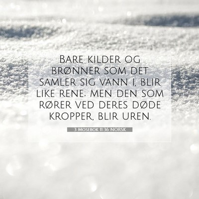 Picture 07 - 3 Mosebok 11:36 NORSK - Bare kilder og brønner som det samler sig vann - Bible Verse Picture