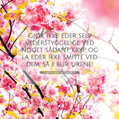 Picture 07 - 3 Mosebok 11:43 NORSK - Gjør ikke eder selv vederstyggelige ved noget - Bible Verse Picture