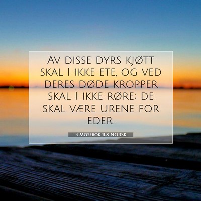 Picture 07 - 3 Mosebok 11:8 NORSK - Av disse dyrs kjøtt skal I ikke ete, og ved - Bible Verse Picture