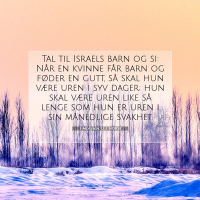 Picture 07 - 3 Mosebok 12:2 NORSK - Tal til Israels barn og si: Når en kvinne får - Bible Verse Picture