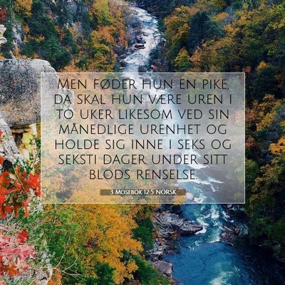 Picture 07 - 3 Mosebok 12:5 NORSK - Men føder hun en pike, da skal hun være uren i - Bible Verse Picture