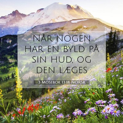 Picture 07 - 3 Mosebok 13:18 NORSK - Når nogen har en byld på sin hud, og den - Bible Verse Picture