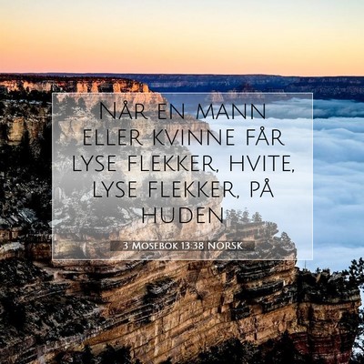 Picture 07 - 3 Mosebok 13:38 NORSK - Når en mann eller kvinne får lyse flekker, - Bible Verse Picture