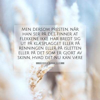 Picture 07 - 3 Mosebok 13:53 NORSK - Men dersom presten, når han ser på det, finner - Bible Verse Picture