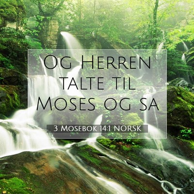 Picture 07 - 3 Mosebok 14:1 NORSK - Og Herren talte til Moses og - Bible Verse Picture