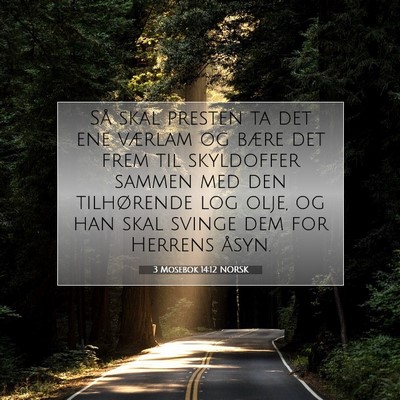 Picture 07 - 3 Mosebok 14:12 NORSK - Så skal presten ta det ene værlam og bære det - Bible Verse Picture