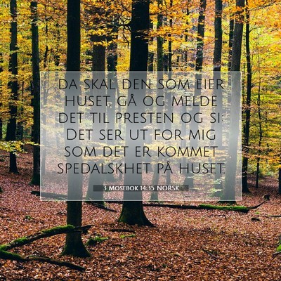 Picture 07 - 3 Mosebok 14:35 NORSK - da skal den som eier huset, gå og melde det til - Bible Verse Picture