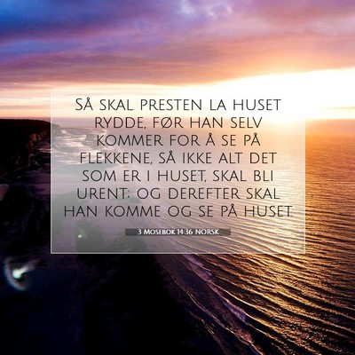 Picture 07 - 3 Mosebok 14:36 NORSK - Så skal presten la huset rydde, før han selv - Bible Verse Picture