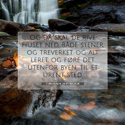 Picture 07 - 3 Mosebok 14:45 NORSK - Og da skal de rive huset ned, både stener og - Bible Verse Picture