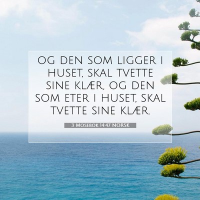 Picture 07 - 3 Mosebok 14:47 NORSK - og den som ligger i huset, skal tvette sine - Bible Verse Picture