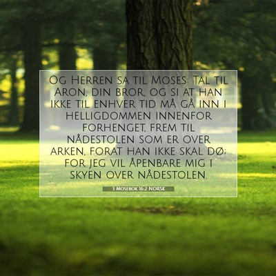 Picture 07 - 3 Mosebok 16:2 NORSK - Og Herren sa til Moses: Tal til Aron, din bror, - Bible Verse Picture