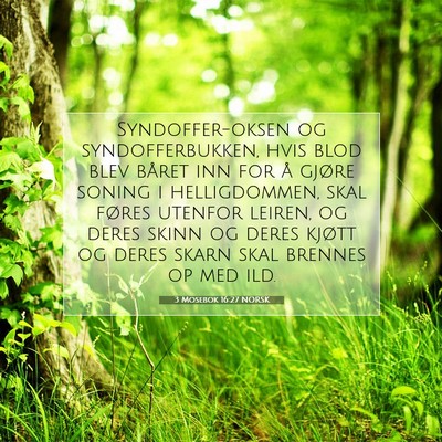 Picture 07 - 3 Mosebok 16:27 NORSK - Syndoffer-oksen og syndofferbukken, hvis blod - Bible Verse Picture