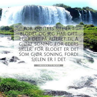 Picture 07 - 3 Mosebok 17:11 NORSK - for kjøttets sjel er i blodet, og jeg har gitt - Bible Verse Picture