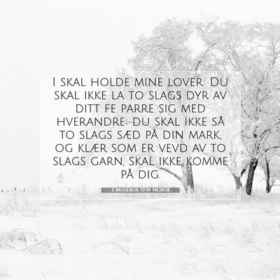 Picture 07 - 3 Mosebok 19:19 NORSK - I skal holde mine lover: Du skal ikke la to slags - Bible Verse Picture