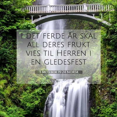 Picture 07 - 3 Mosebok 19:24 NORSK - I det ferde år skal all deres frukt vies til - Bible Verse Picture