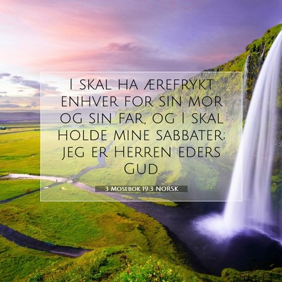 Picture 07 - 3 Mosebok 19:3 NORSK - I skal ha ærefrykt enhver for sin mor og sin - Bible Verse Picture