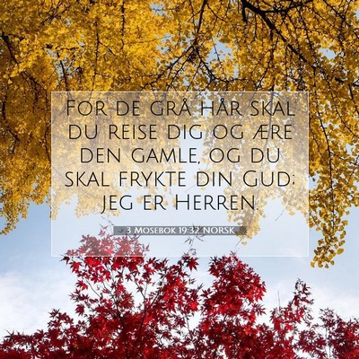 Picture 07 - 3 Mosebok 19:32 NORSK - For de grå hår skal du reise dig og ære den - Bible Verse Picture