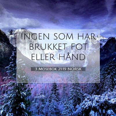 Picture 07 - 3 Mosebok 21:19 NORSK - ingen som har brukket fot eller - Bible Verse Picture