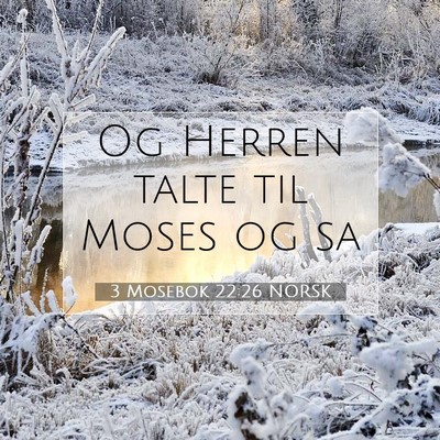 Picture 07 - 3 Mosebok 22:26 NORSK - Og Herren talte til Moses og - Bible Verse Picture