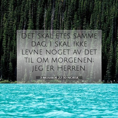 Picture 07 - 3 Mosebok 22:30 NORSK - Det skal etes samme dag, I skal ikke levne noget - Bible Verse Picture