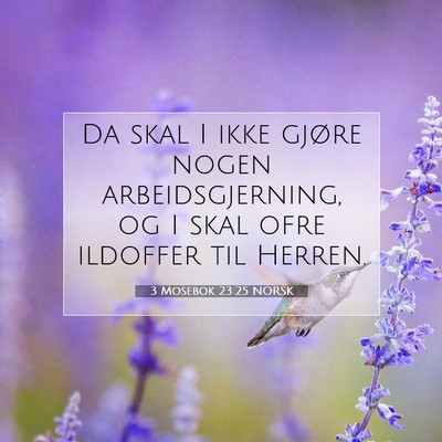 Picture 07 - 3 Mosebok 23:25 NORSK - Da skal I ikke gjøre nogen arbeidsgjerning, og I - Bible Verse Picture