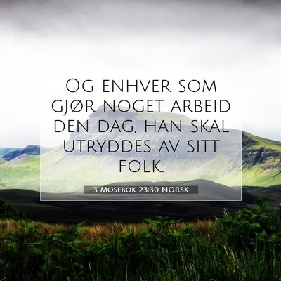 Picture 07 - 3 Mosebok 23:30 NORSK - Og enhver som gjør noget arbeid den dag, han - Bible Verse Picture