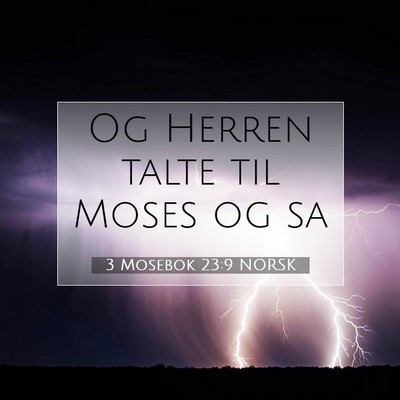 Picture 07 - 3 Mosebok 23:9 NORSK - Og Herren talte til Moses og - Bible Verse Picture