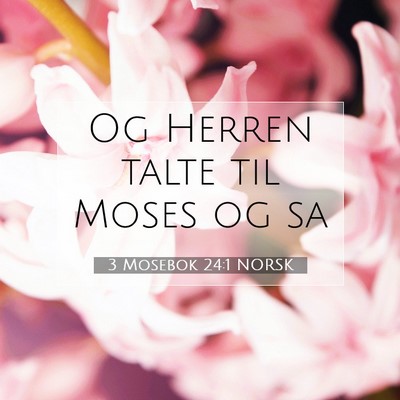 Picture 07 - 3 Mosebok 24:1 NORSK - Og Herren talte til Moses og - Bible Verse Picture