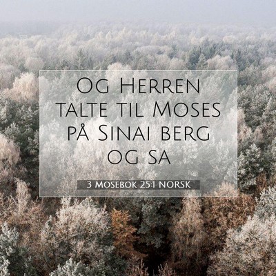 Picture 07 - 3 Mosebok 25:1 NORSK - Og Herren talte til Moses på Sinai berg og - Bible Verse Picture