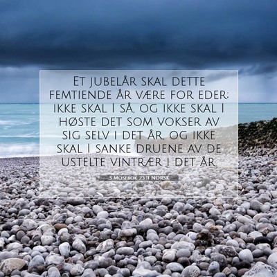 Picture 07 - 3 Mosebok 25:11 NORSK - Et jubelår skal dette femtiende år være for - Bible Verse Picture