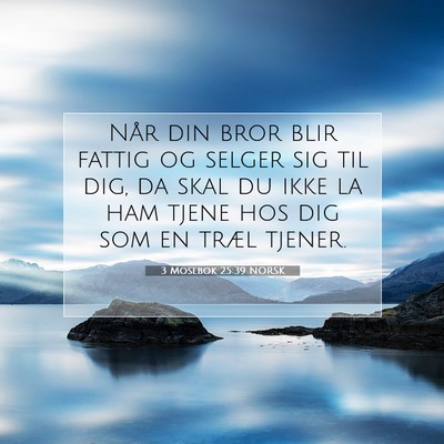 Picture 07 - 3 Mosebok 25:39 NORSK - Når din bror blir fattig og selger sig til dig, - Bible Verse Picture
