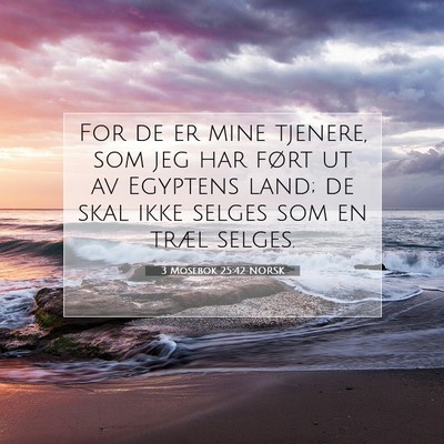 Picture 07 - 3 Mosebok 25:42 NORSK - For de er mine tjenere, som jeg har ført ut av - Bible Verse Picture
