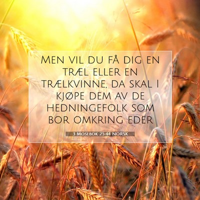 Picture 07 - 3 Mosebok 25:44 NORSK - Men vil du få dig en træl eller en trælkvinne, - Bible Verse Picture