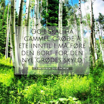 Picture 07 - 3 Mosebok 26:10 NORSK - Og I skal ha gammel grøde å ete inntil I må - Bible Verse Picture