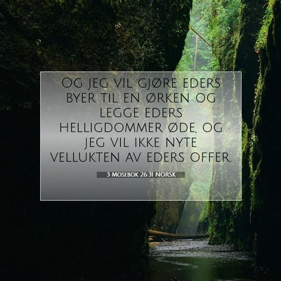 Picture 07 - 3 Mosebok 26:31 NORSK - Og jeg vil gjøre eders byer til en ørken og - Bible Verse Picture
