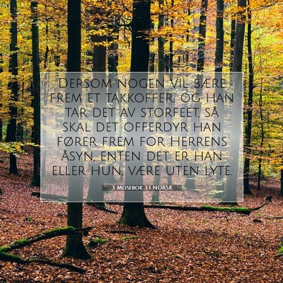 Picture 07 - 3 Mosebok 3:1 NORSK - Dersom nogen vil bære frem et takkoffer, og han - Bible Verse Picture