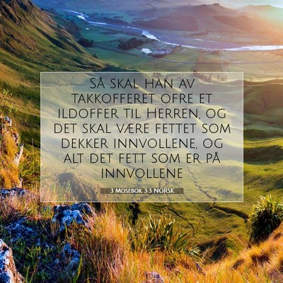 Picture 07 - 3 Mosebok 3:3 NORSK - Så skal han av takkofferet ofre et ildoffer til - Bible Verse Picture