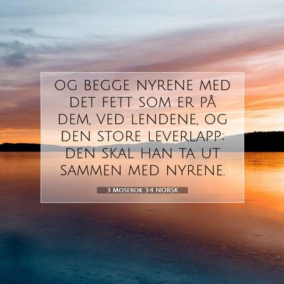 Picture 07 - 3 Mosebok 3:4 NORSK - og begge nyrene med det fett som er på dem, ved - Bible Verse Picture