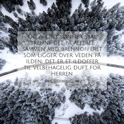 Picture 07 - 3 Mosebok 3:5 NORSK - Og Arons sønner skal brenne det på alteret - Bible Verse Picture